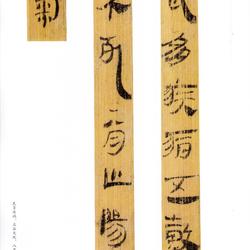 Selected Ink Marks on Bamboo Slips of the Qin and Han Dynasties (12) with Marginal Notes