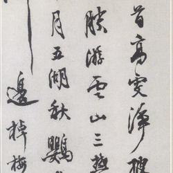 Letter of Respect