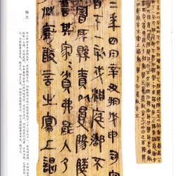 Selected Ink Marks on Bamboo Slips of the Qin and Han Dynasties (8)