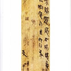 Selected Ink Marks on Bamboo Slips of the Qin and Han Dynasties (9)